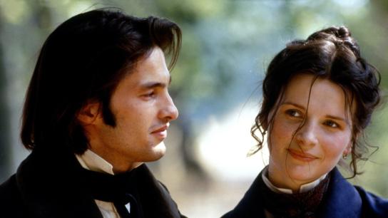 The Horseman on the Roof (1995) Image