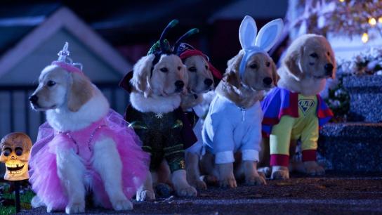 Spooky Buddies (2011) Image