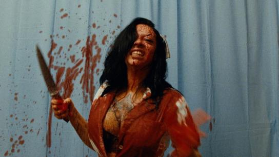 Hell Nurse (2023) Image