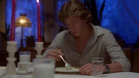 Butcher, Baker, Nightmare Maker (1981) Image