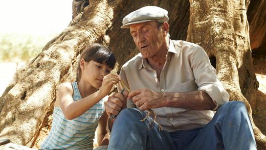 The Olive Tree (2016) Image