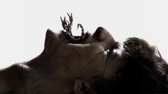 Shaman (2025) Image