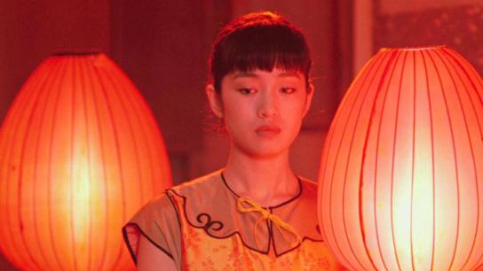 Raise the Red Lantern (1991) Image