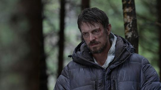 Icefall (2025) Image