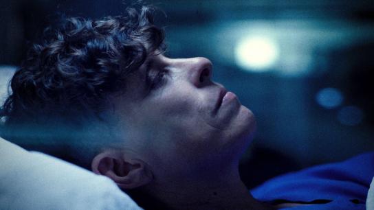 Come See Me in the Good Light (2025) Image