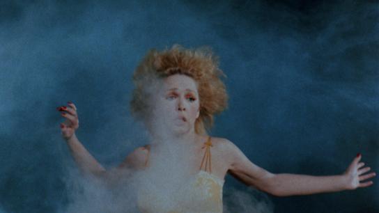 Arnold (1973) Image