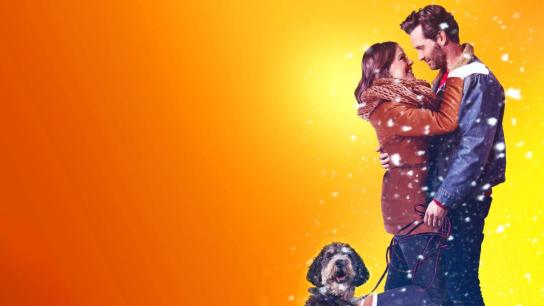 A Furry Little Christmas (2021) Image