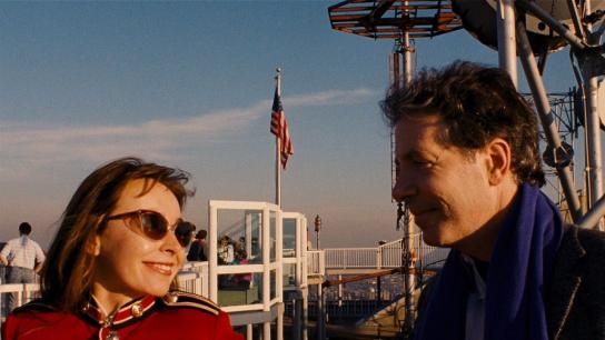 All the Vermeers in New York (1992) Image