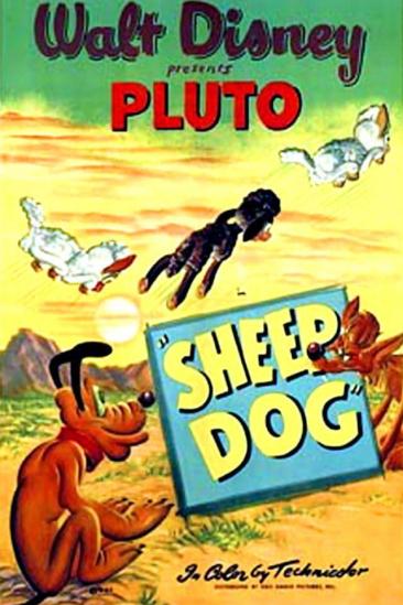 Sheep Dog (1949)