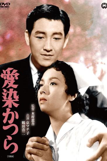 Aizen katsura (1954)