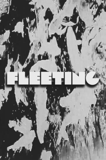 FLEETING (2025)