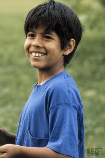 Walker (1991)