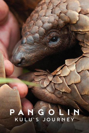 Pangolin: Kulu's Journey (2025)