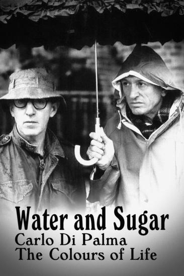 Water and Sugar – Carlo Di Palma: The Colours of Life (2017)
