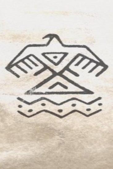 Mni Wiconi: Water is Life (2019)
