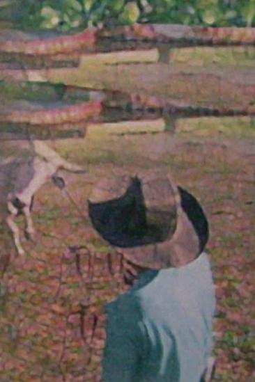 Pantanal: The Waters of Life (1997)