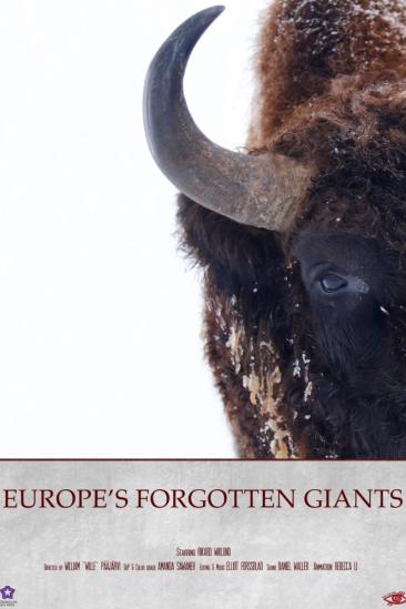 Europe's Forgotten Giants (2025)