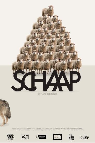 Sheep (2025)