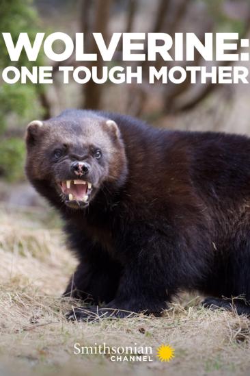Wolverine: One Tough Mother (2021)
