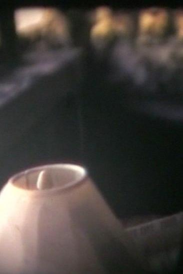 Hoax (2005)