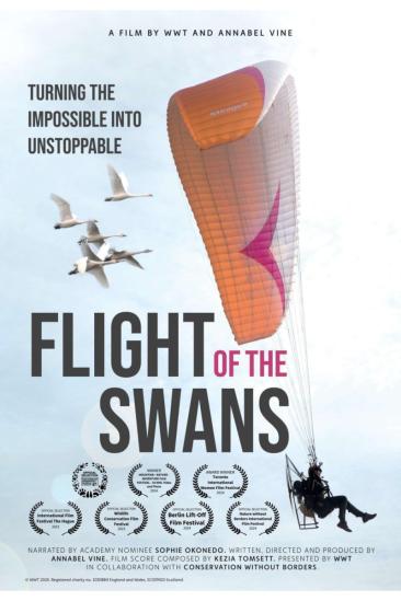 Flight of the Swans (2024)