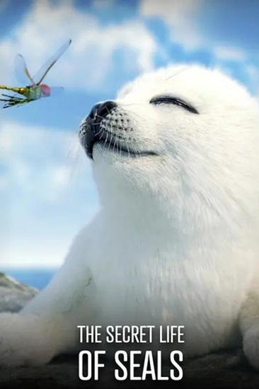 The Secret Life of Seals (2022)