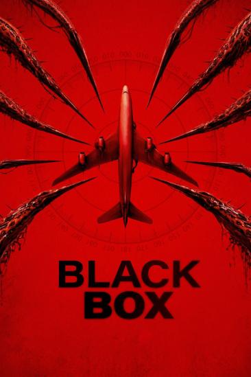 Black Box (Flight 298) (2026)