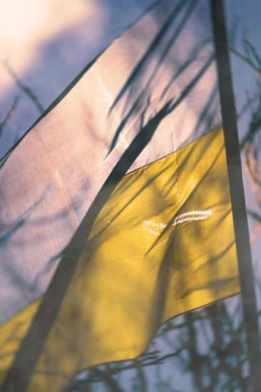 Despair and Defiance: The Battle for Ukraine (2022)