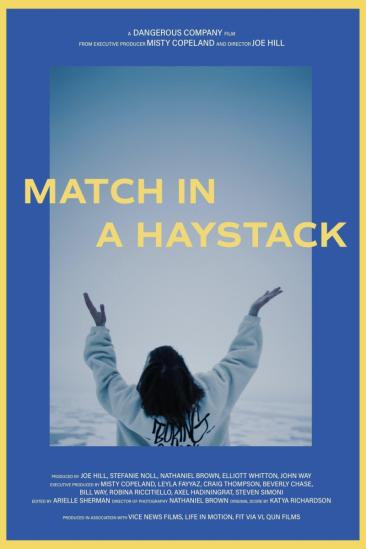 Match In A Haystack (2025)