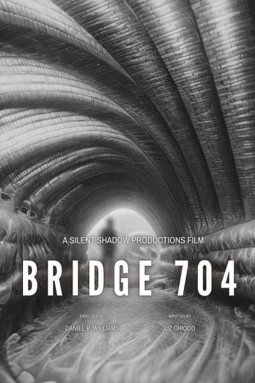 Bridge 704 (2026)