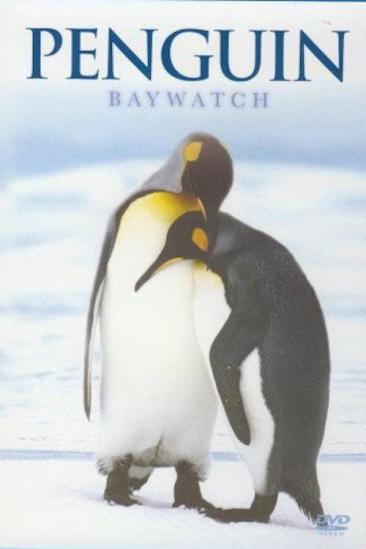 Penguin Baywatch Antarctica (2015)