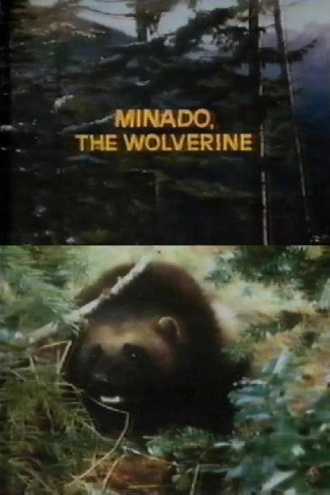Minado, the Wolverine (1965)