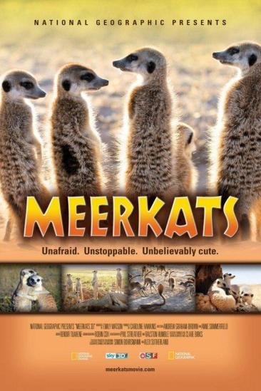 Meerkats 3D (2011)