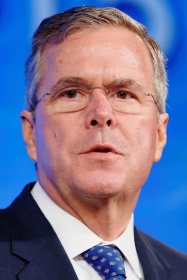 Jeb Bush Image