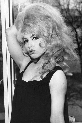 Lady Chinchila Image