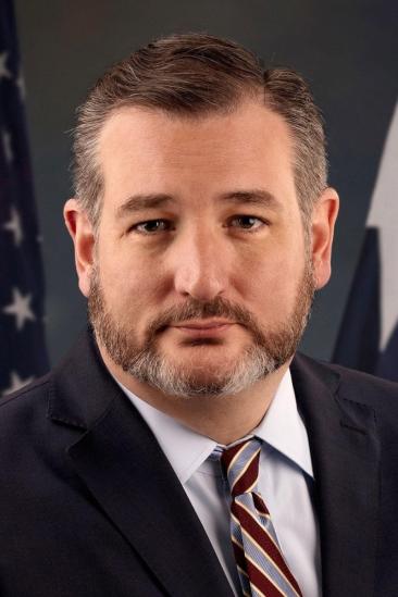 Ted Cruz Image