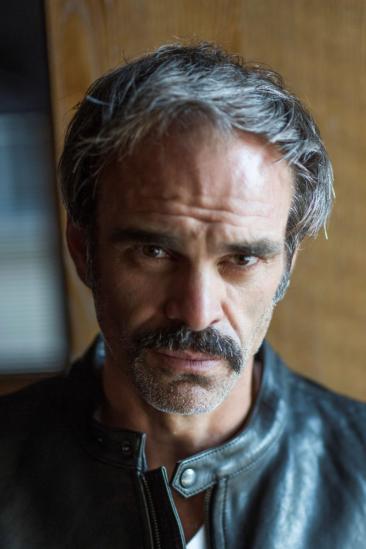 Steven Ogg Image
