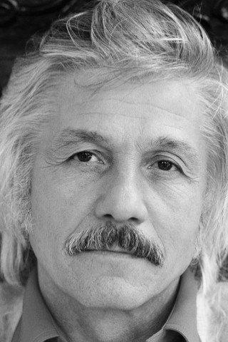 Mihai Volontir Image