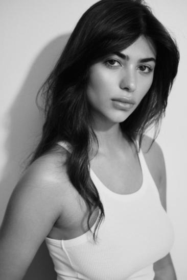 Gina Vultaggio Image