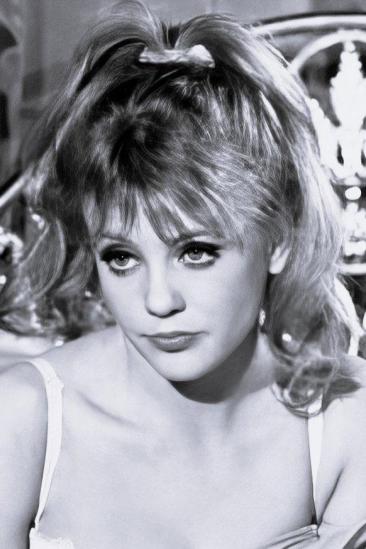 Vanessa Howard Image