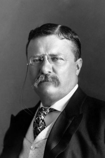 Theodore Roosevelt Image