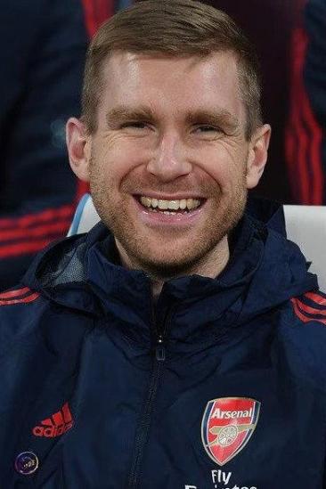 Per Mertesacker Image