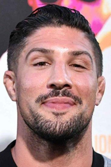 Brendan Schaub Image