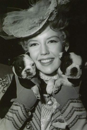 Sally Fraser Image