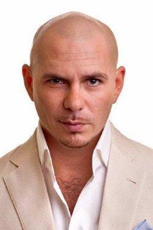 Pitbull Image