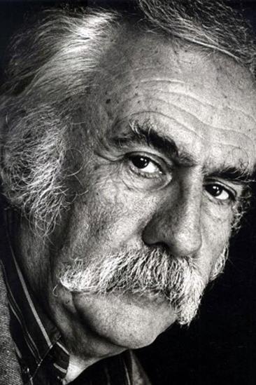 Živojin Pavlović Image