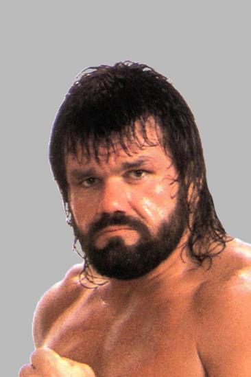 Steve Williams Image