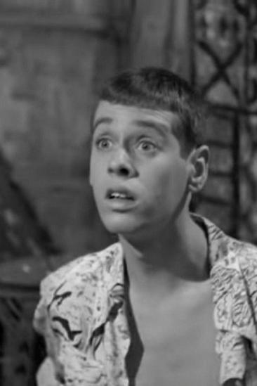 Sammy Petrillo Image