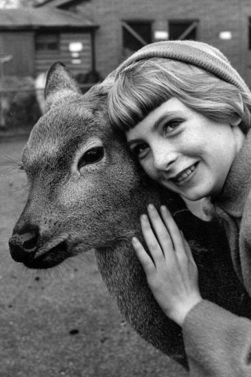 Jacqueline Ryan Image