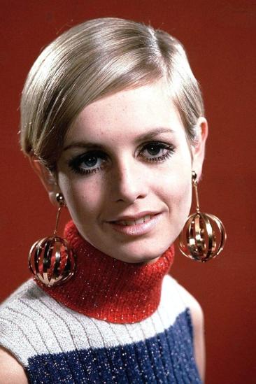 Twiggy Image